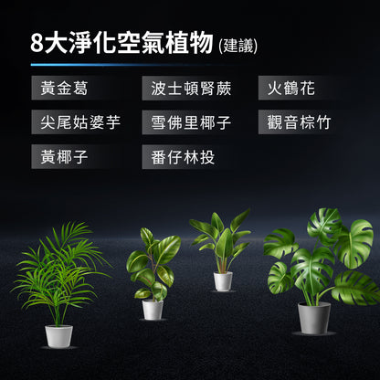 Future Lab O2 Purifier 空氣清淨機  (**落單前先查詢貨量🙏🏼)