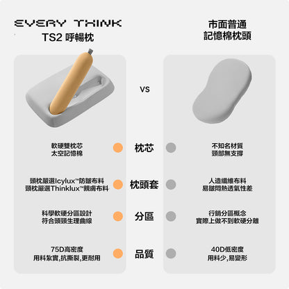 Every Think 呼暢枕 TS2 (**落單前先查詢貨量🙏🏼)